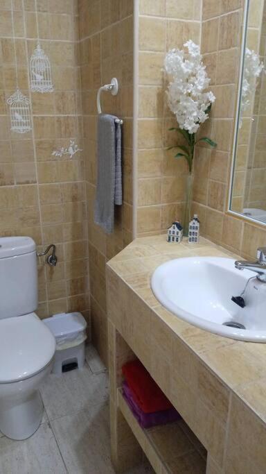 Acogedor Apartamento Jv36 Córdoba Kültér fotó